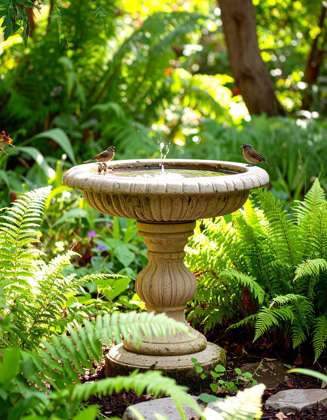 A Bird Bath as a Shady Corner Wildlife Hub - 30 shady garden corner ideas