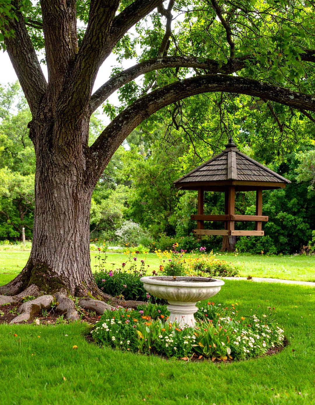 A Bird and Butterfly Sanctuary - 30 landscaping ideas around tree roots