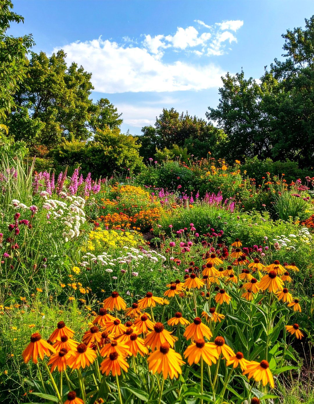 A Dedicated Caterpillar Host Plant Garden - 30 layout butterfly garden design plans ideas
