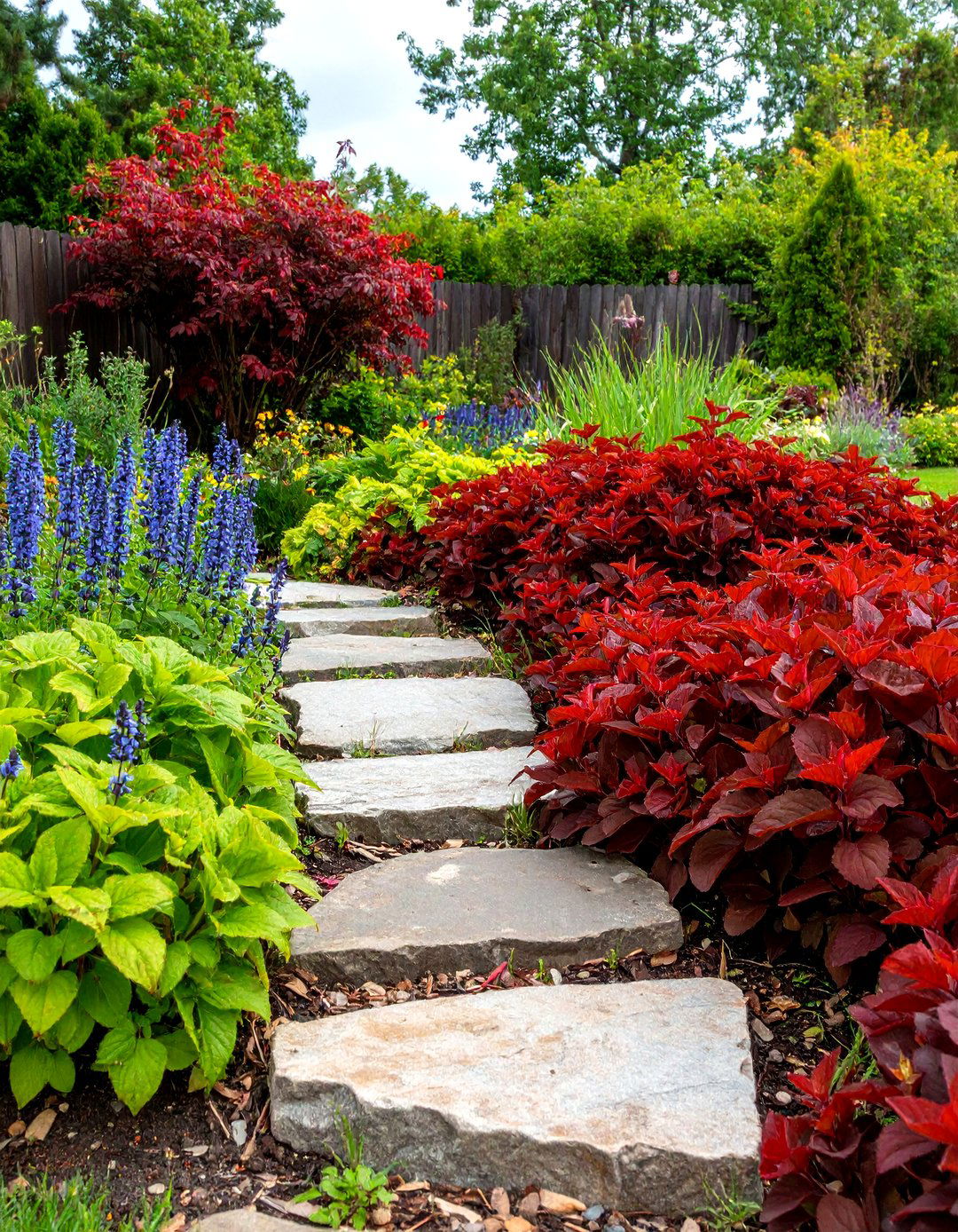 A European Wild Ginger Asarum Europaeum Groundcover - 30 perennial shade garden ideas