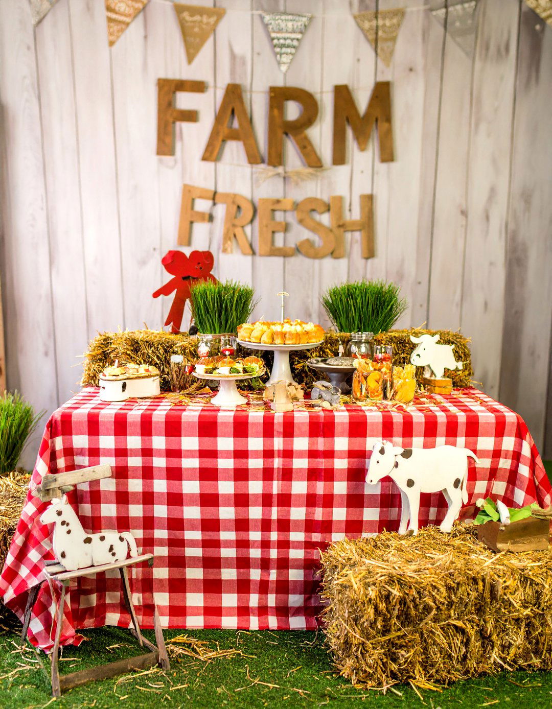 A Farm Themed Baby Shower - 30 baby boy shower ideas