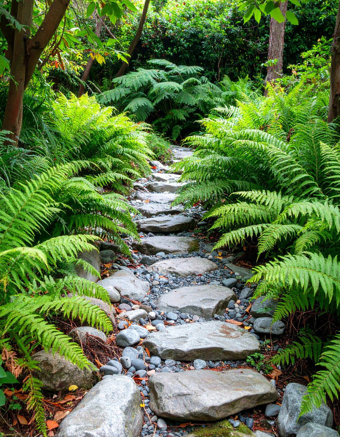 A Fern Lined Dry Creek Bed in a Shady Corner - 30 shady garden corner ideas