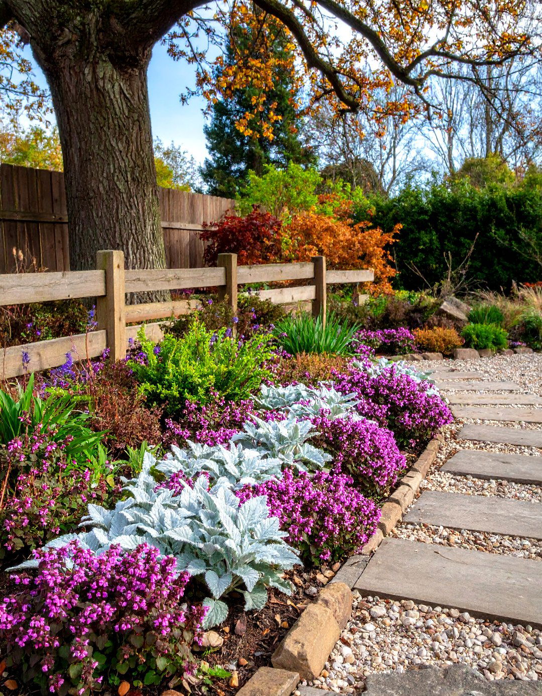 A Lamium Groundcover in a Perennial Shade Garden - 30 perennial shade garden ideas