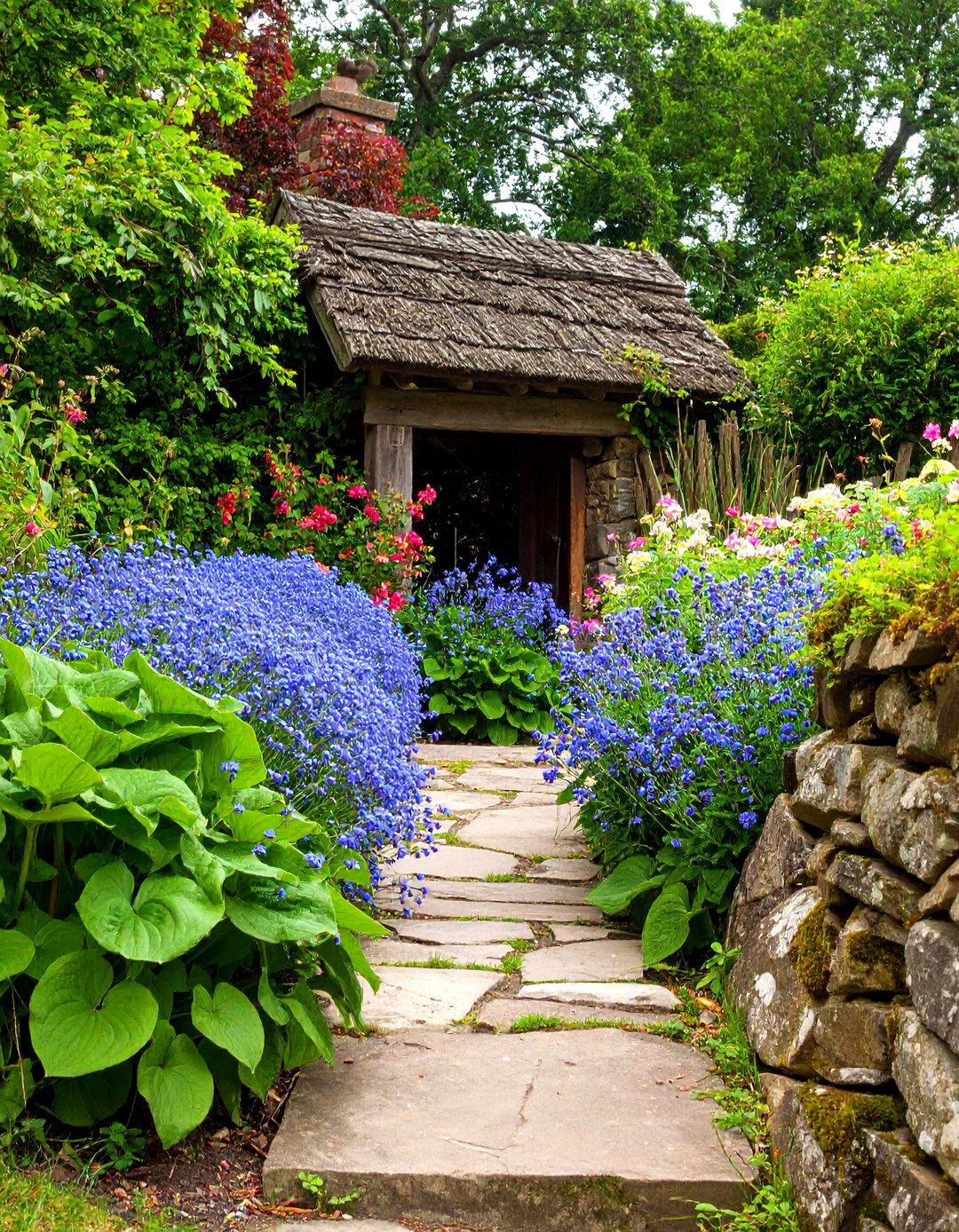 A Liriope Lilyturf for a Tough Border in a Perennial Shade Garden - 30 perennial shade garden ideas