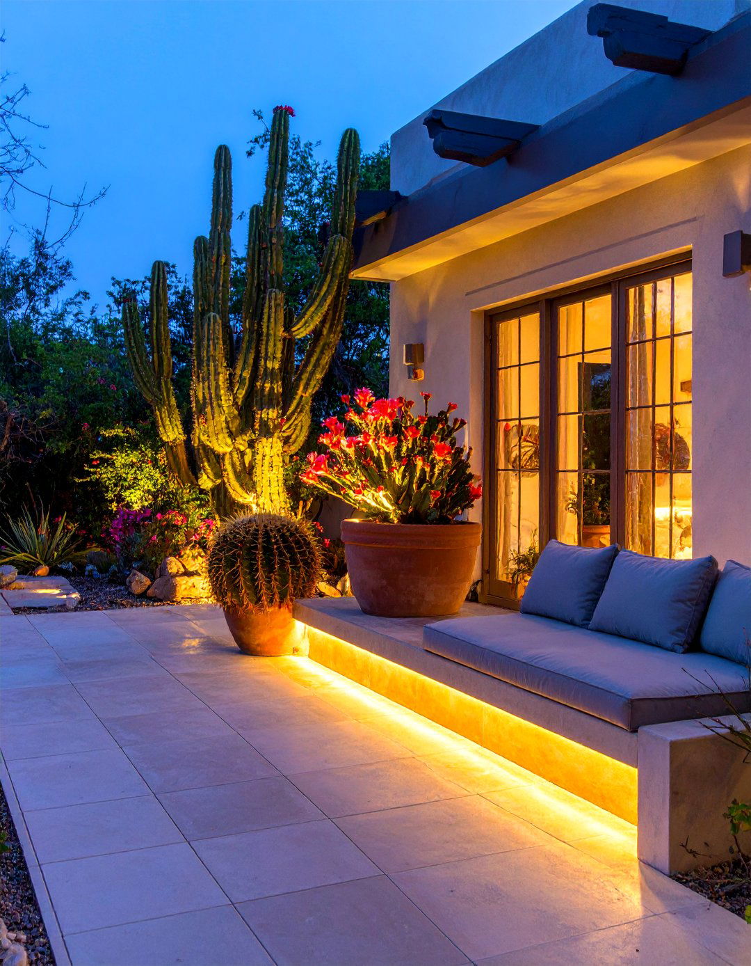 A Night Blooming Cactus Garden - 30 cactus garden ideas
