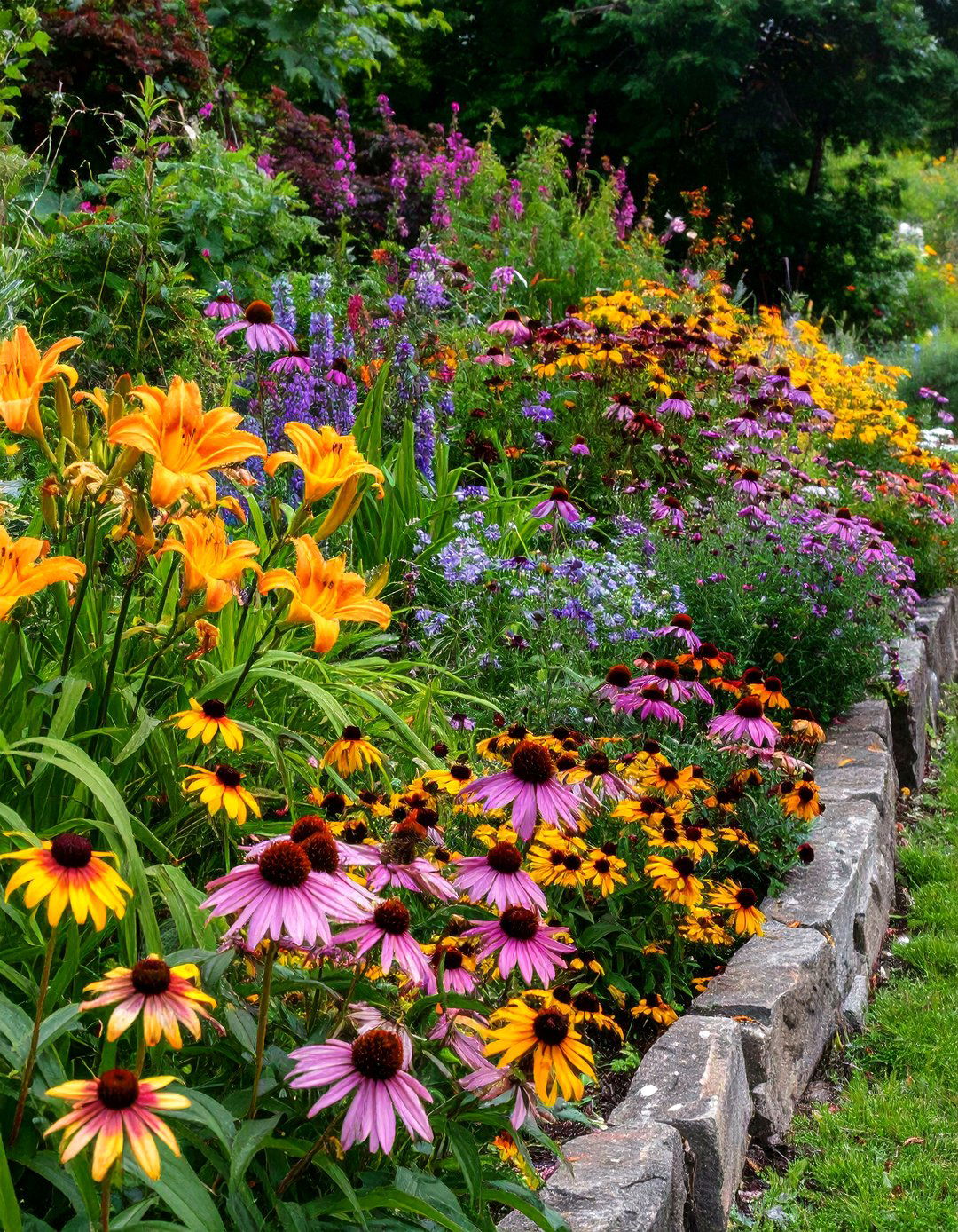 A Perennial Focused Border - 30 cheap landscaping ideas