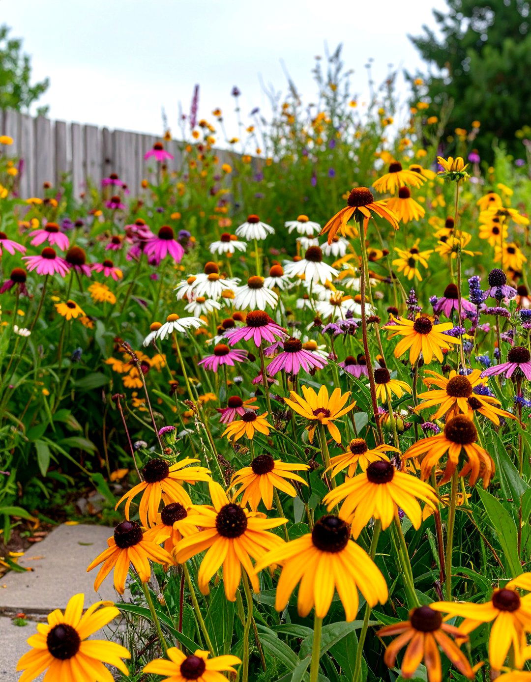 A Pollinator Friendly Meadow - 30 diy landscaping ideas