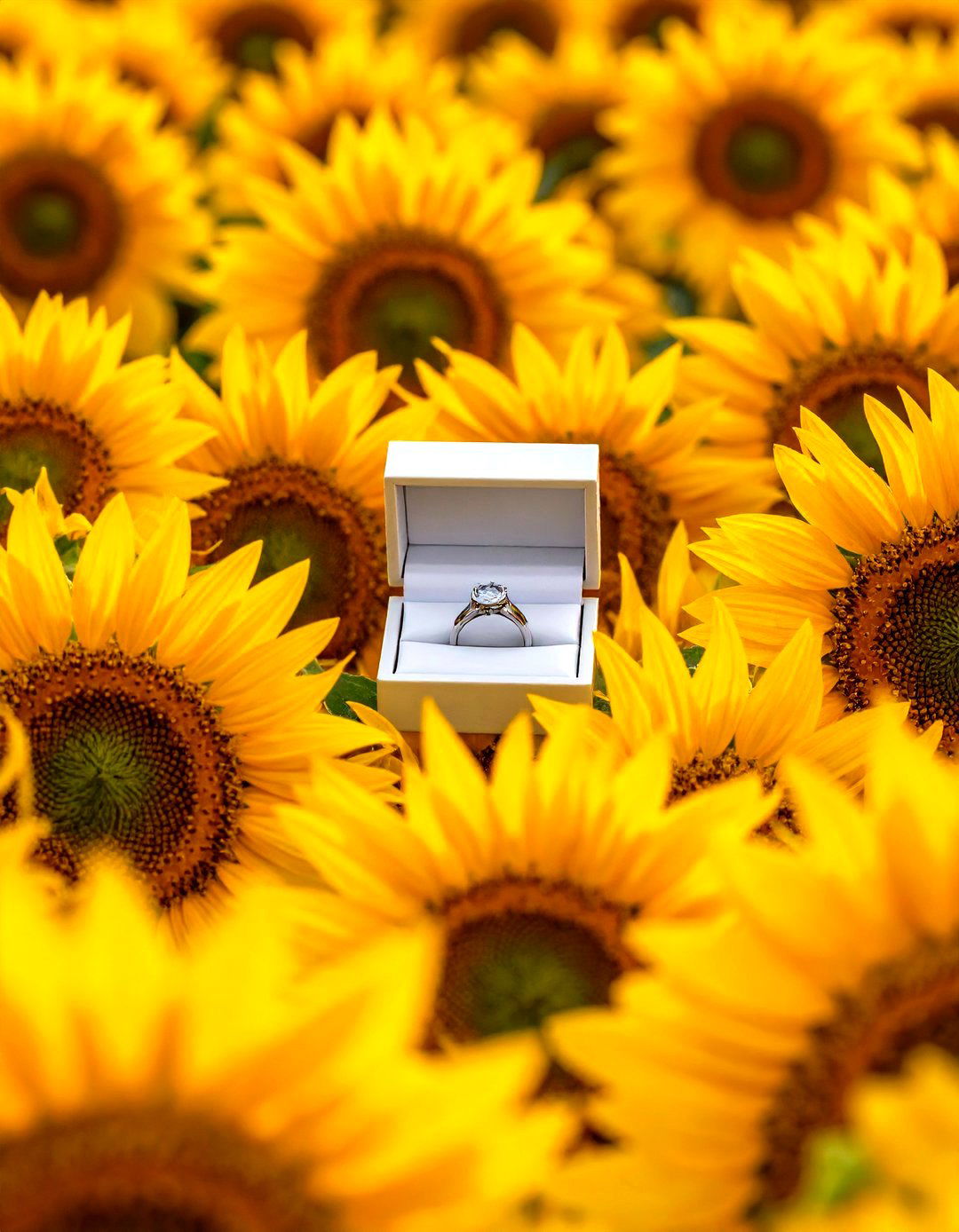 A Proposal in a Sunflower Maze - 30 outdoor proposal ideas