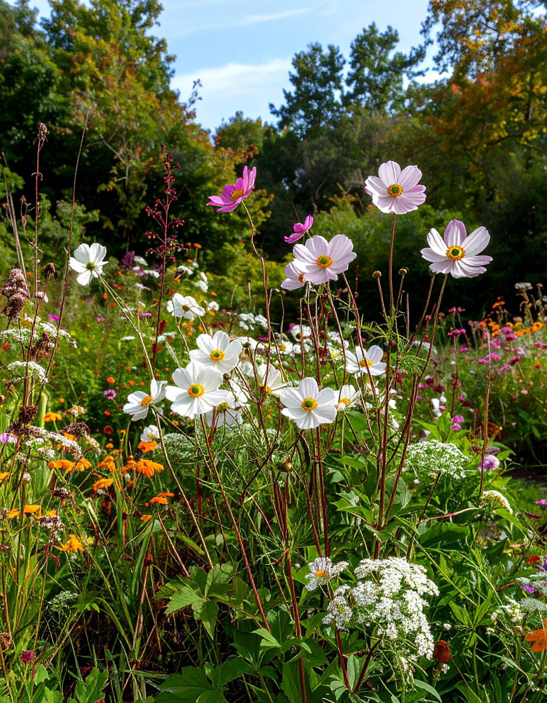 A Turtlehead Chelone for Unique Blooms in a Perennial Shade Garden - 30 perennial shade garden ideas