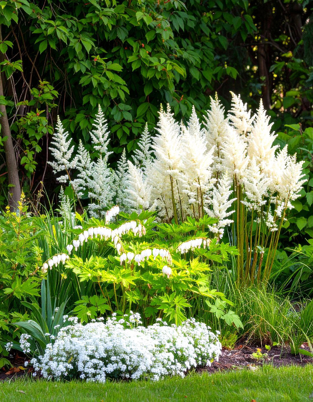 30 Shady Garden Corner Ideas for a Relaxing Retreat