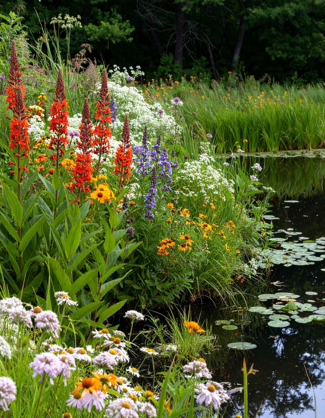 A Wildflower Garden for Wet Areas - 30 wildflower garden ideas