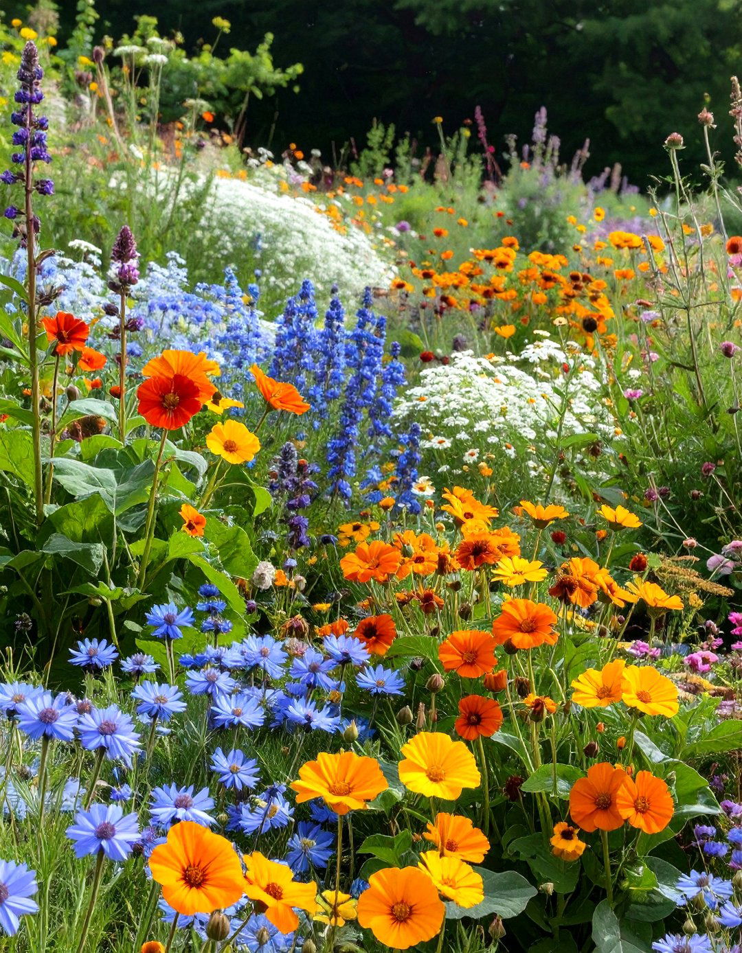 A Wildflower Garden with Edible Flowers - 30 wildflower garden ideas