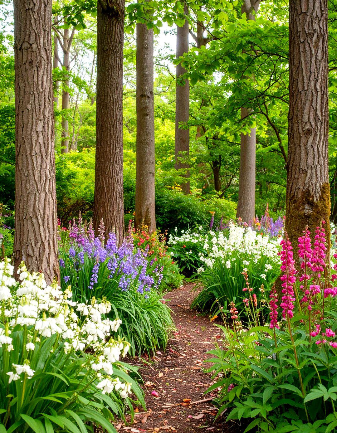 A Woodland Edge Pollinator Garden Plan - 30 layout pollinator garden design plans ideas