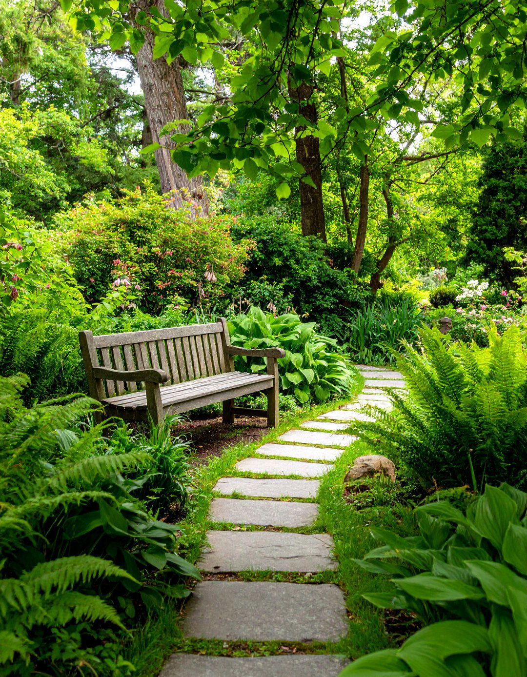 A Woodland Retreat Backyard - 30 design my backyard ideas