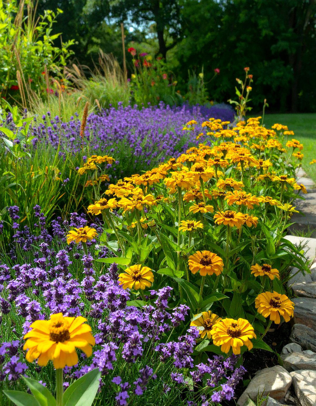 A Zinnia Garden for Evening Ambiance - 30 zinnia garden ideas
