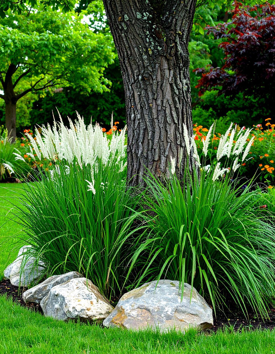 An Ornamental Grass Display - 30 landscaping ideas around trees pictures
