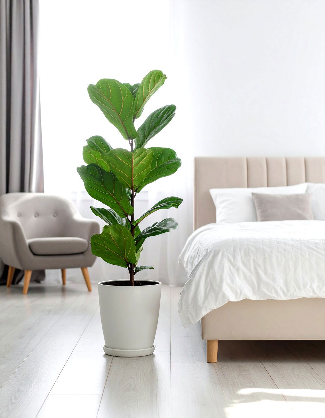 Biophilic Design with Indoor Plants - 30 romantic modern luxury master bedroom designs