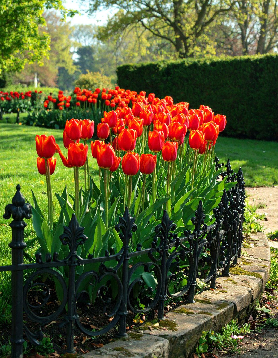 Cast Iron Garden Edging - 30 modern garden edging ideas