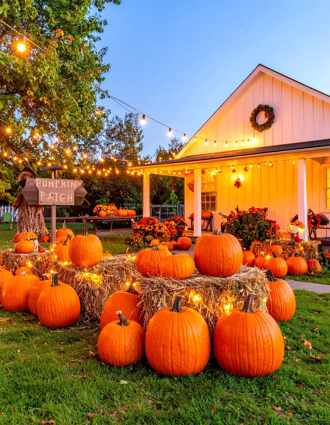 Classic Pumpkin Patch Front Yard - 30 halloween front yard ideas