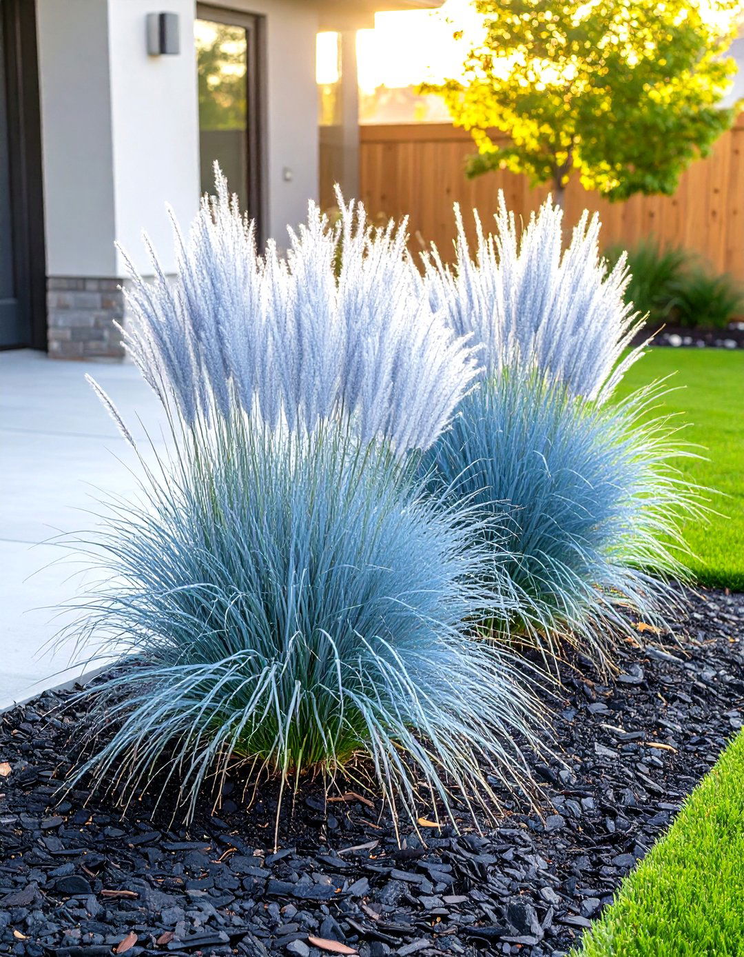 Clustered Ornamental Grasses - 30 small area cheap simple front yard landscaping ideas