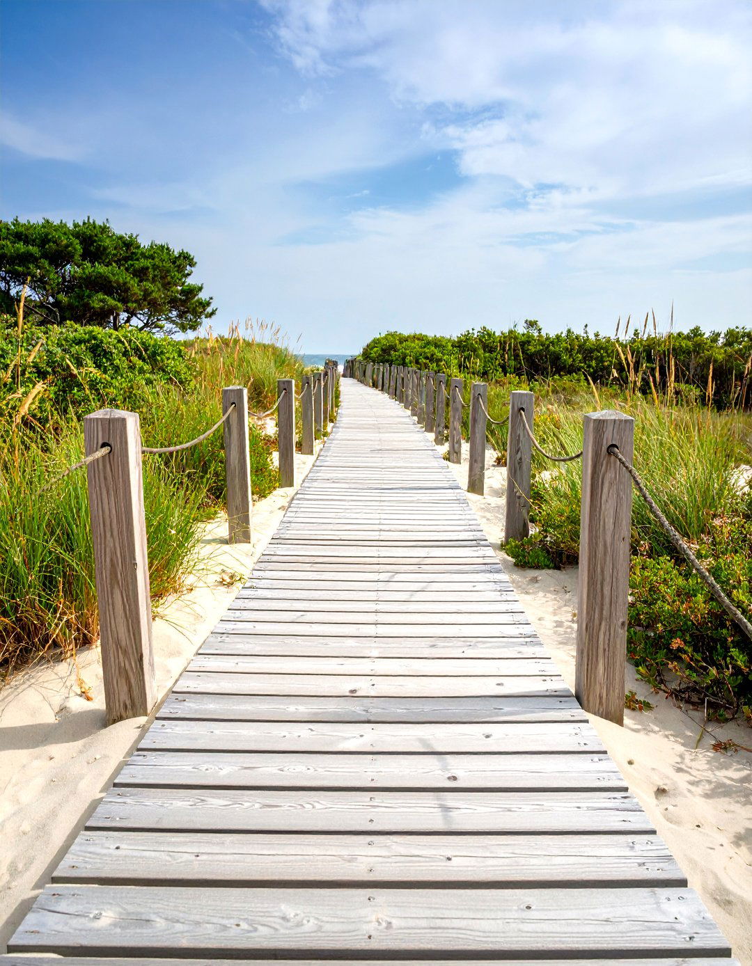Coastal Vibe Driftwood Plank Garden Path - 30 garden path ideas