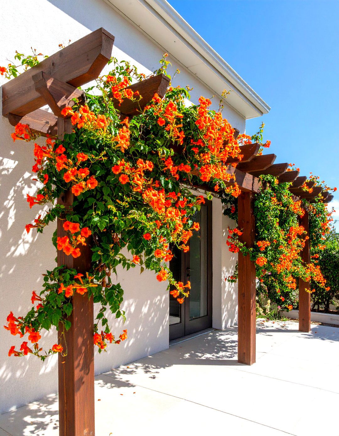 DIY Pergola Wall Garden Trellis - 30 diy garden trellis ideas