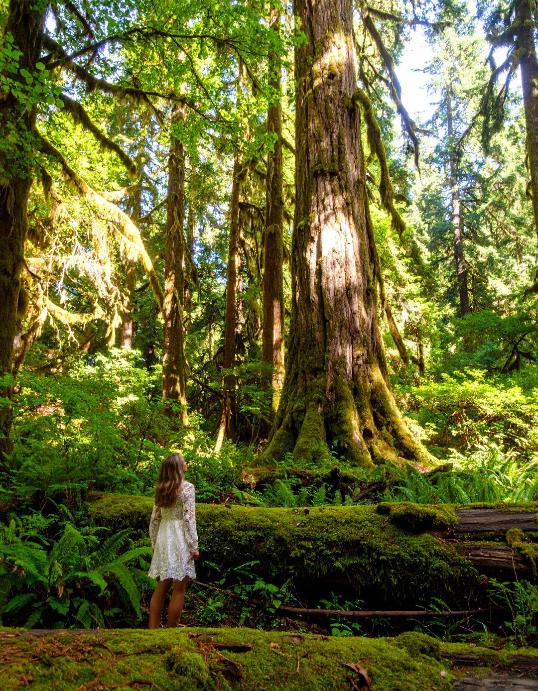 Enchanted Forest Photoshoot - 30 girl outdoor senior picture ideas