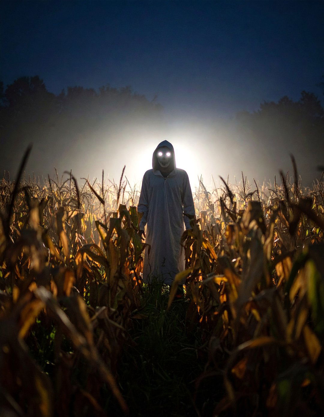 Field of Screams - 30 halloween front yard ideas