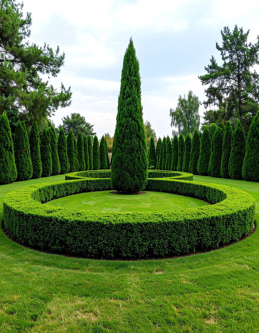 Formal Boxwood Hedge Ring - 30 landscape tree ring ideas