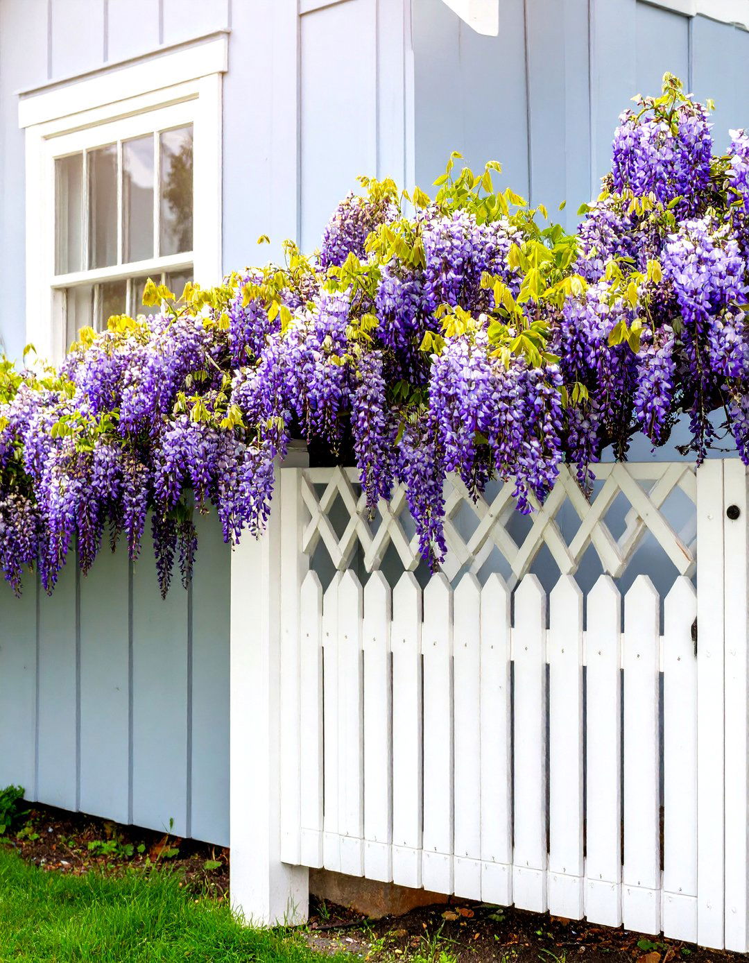 Freestanding Accordion Garden Trellis - 30 diy garden trellis ideas