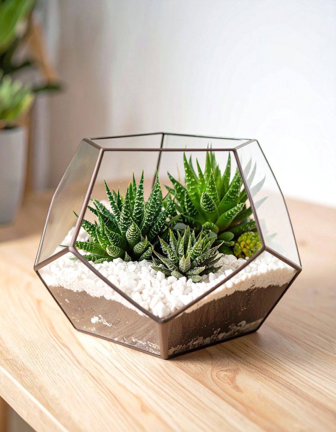 Glass Terrarium Succulent Garden - 30 succulent garden ideas