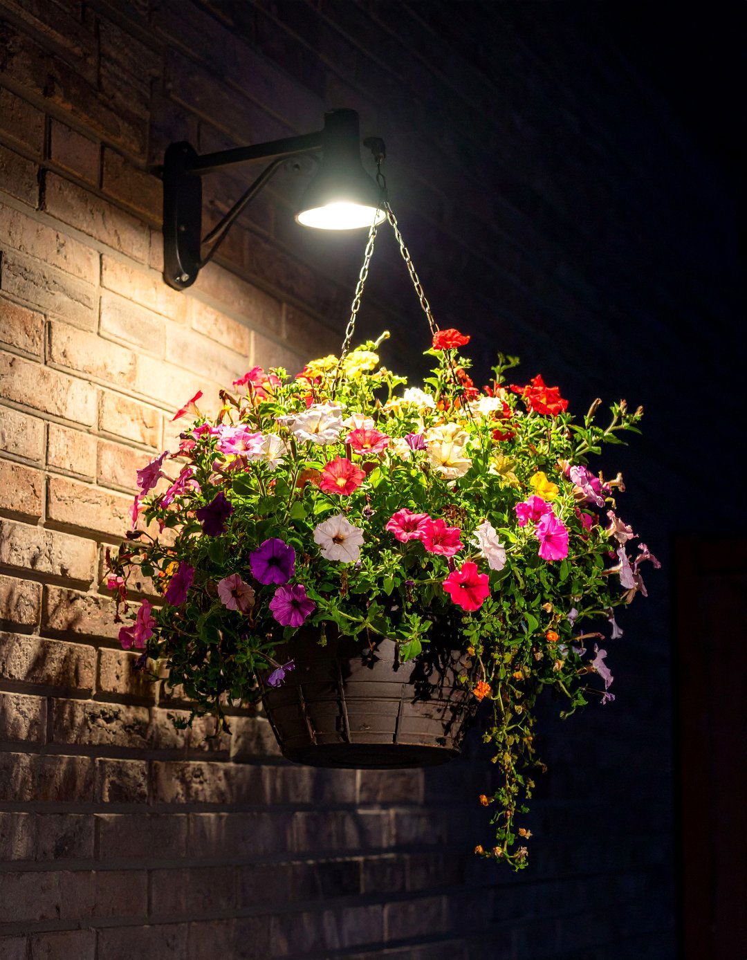 Hanging Basket Spotlights - 30 backyard lighting ideas