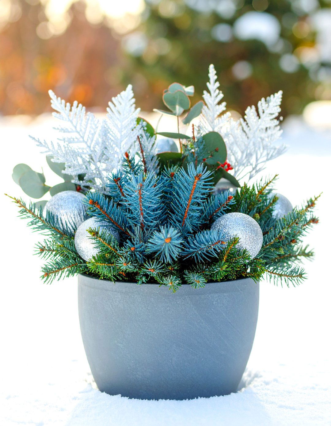 Icy Blue Winter Planter with Juniper - 30 outdoor winter planter ideas