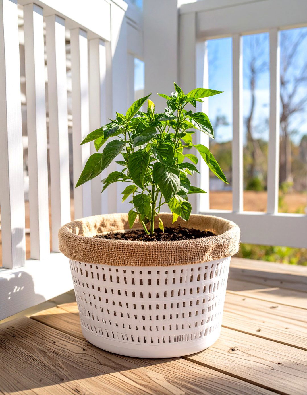 Laundry Basket Small Vegetable Garden - 30 small vegetable garden ideas