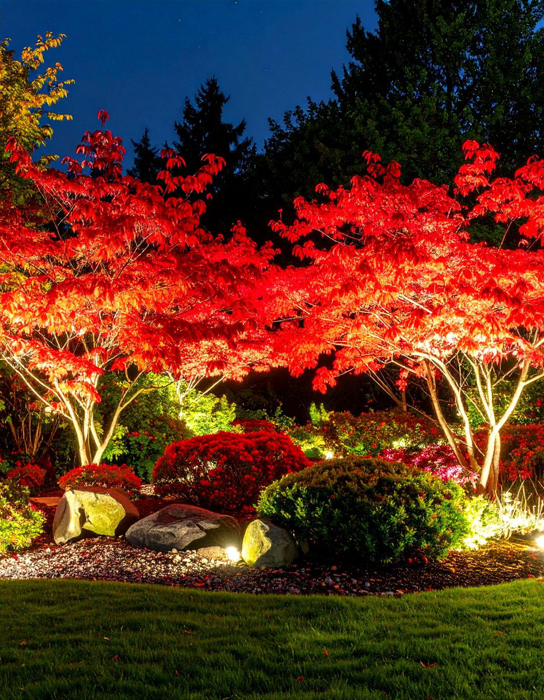 Lighting Red Twig Dogwood at Night - 30 red twig dogwood landscape design ideas