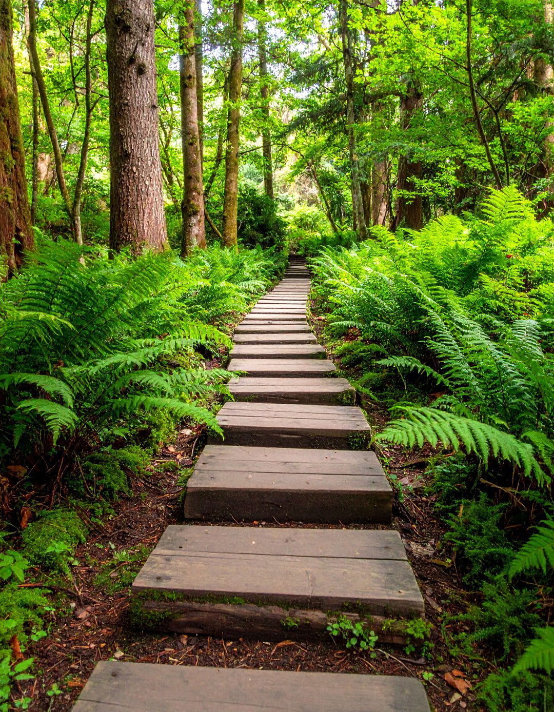 Log Stepper Garden Path - 30 garden path ideas