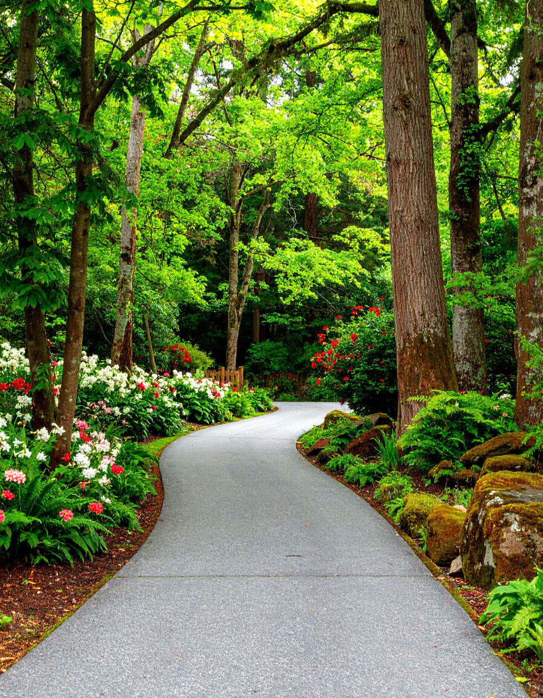 Lush Woodland Garden Driveway Entrance - 30 driveway entrance landscaping ideas