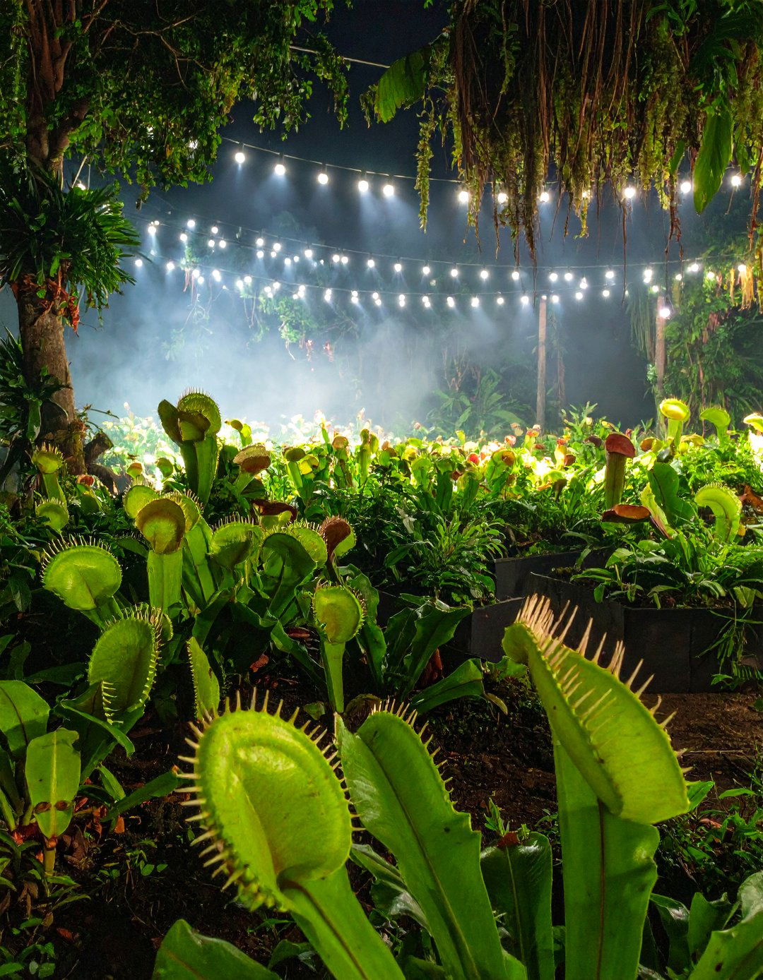 Man Eating Plants Garden - 30 halloween front yard ideas