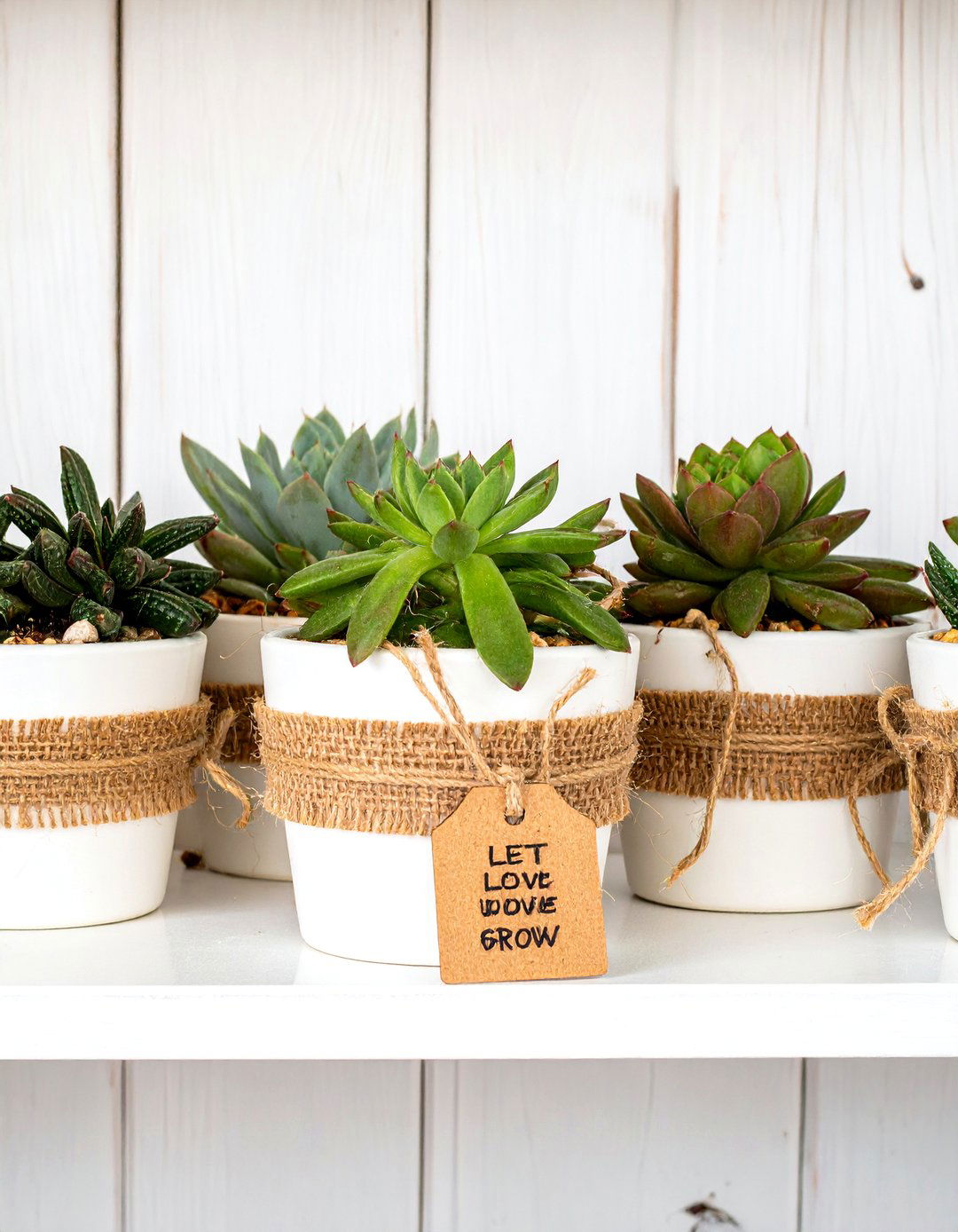 Mini Succulent Plant Favors - 30 baby shower favor ideas
