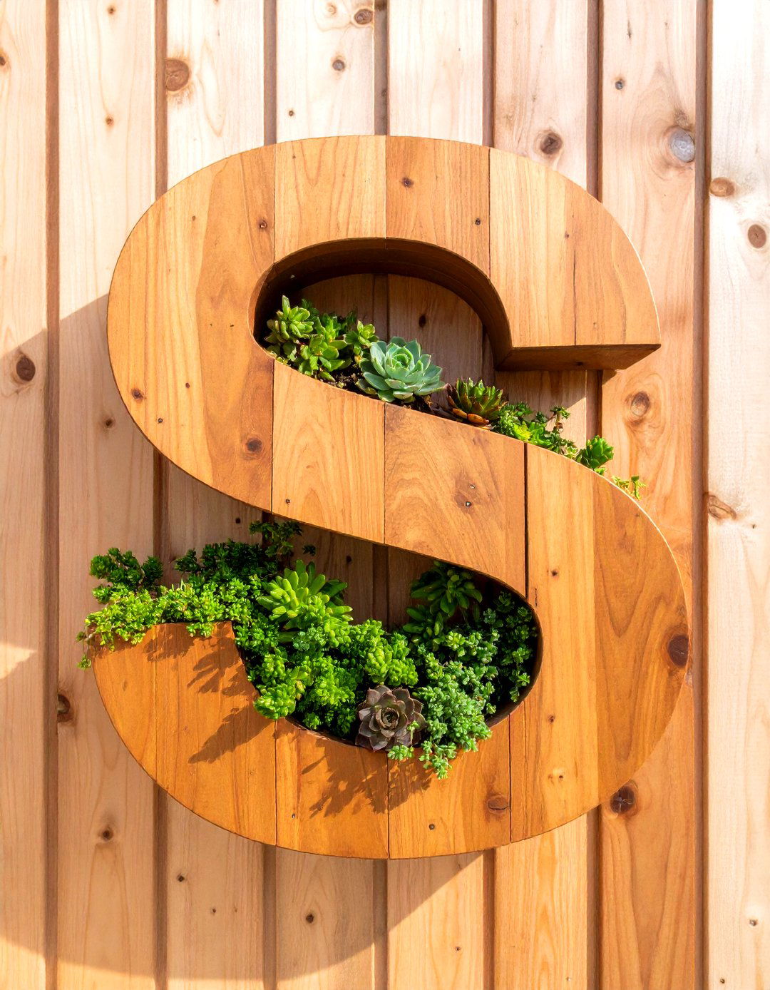 Monogram Succulent Planter Garden - 30 outdoor succulent garden ideas