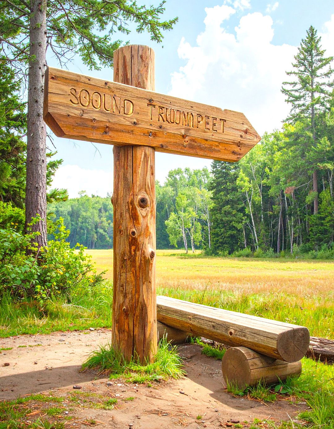 Outdoor Classroom Sound Scape Post - 30 outdoor classroom ideas