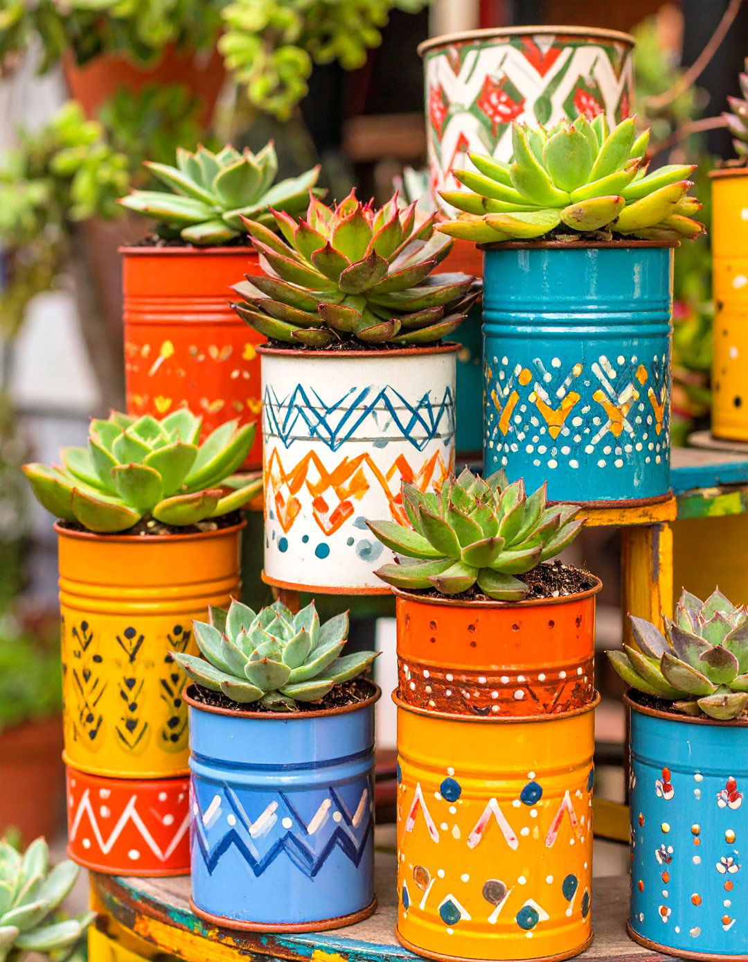 Painted Can Succulent Planters - 30 succulent garden ideas