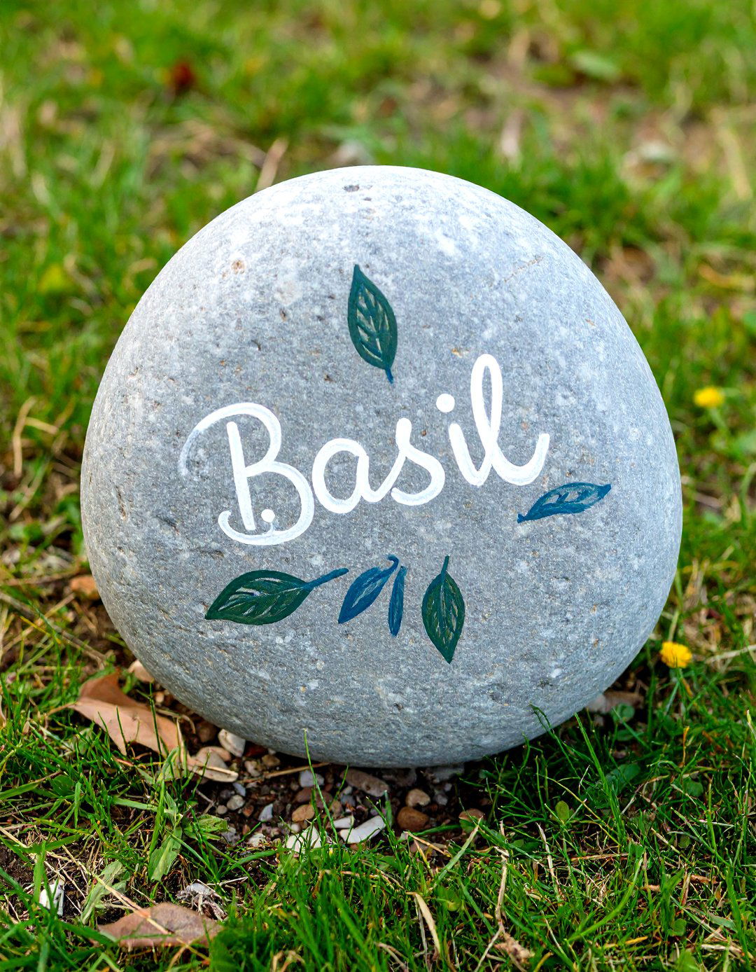 Painted Rock Garden Markers - 30 rock painting ideas for garden