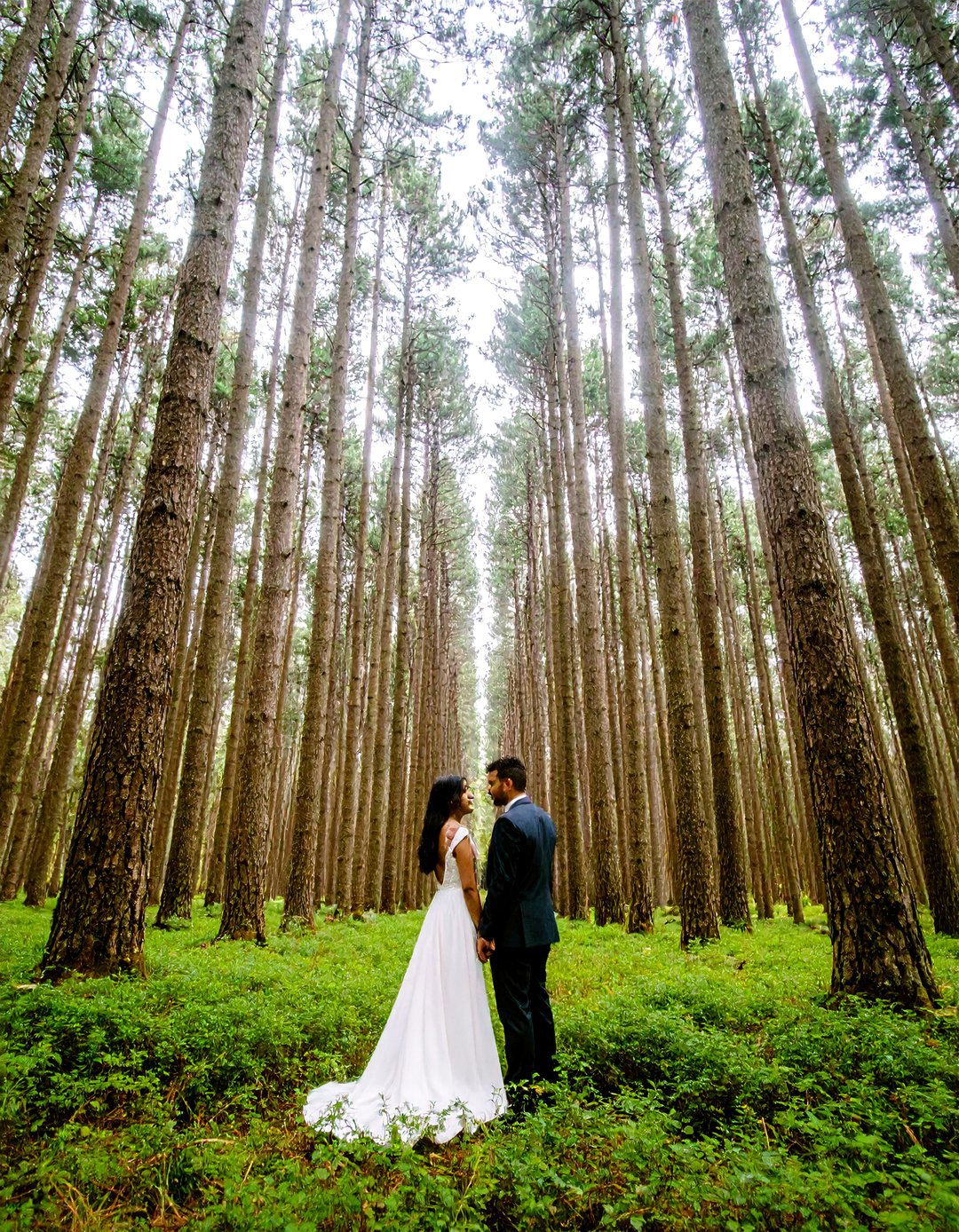 Pine Forest Photoshoot - 30 outdoor photoshoot ideas