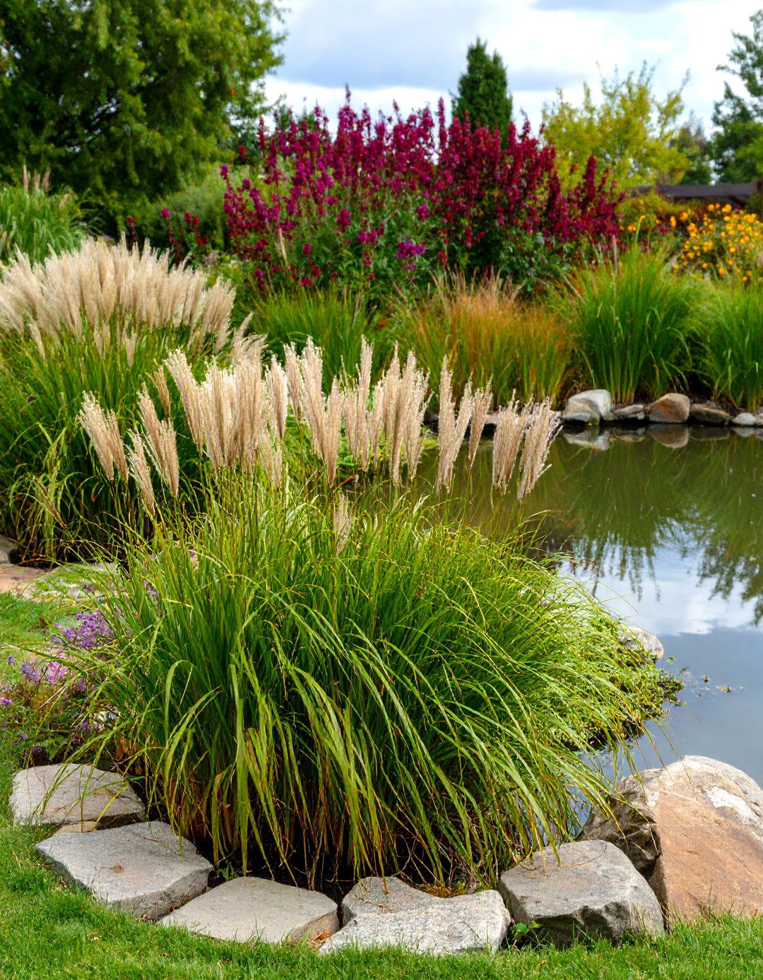 Pond with Surrounding Ornamental Grasses - 30 pond landscaping ideas
