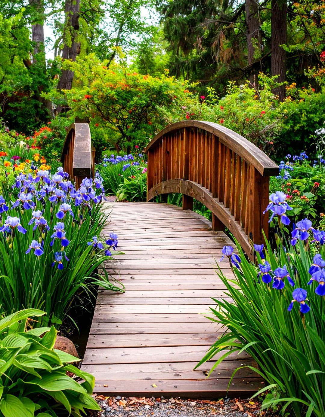 Graden Decor For Raining 30 Eco-Friendly Rain Garden Ideas for Sustainable Yards - We Love Home Blog