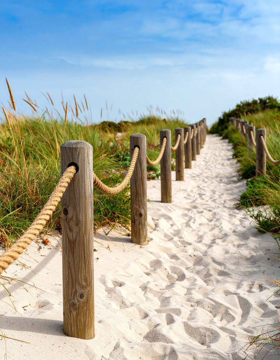 Rope and Stake Garden Border - 30 inexpensive garden edging ideas