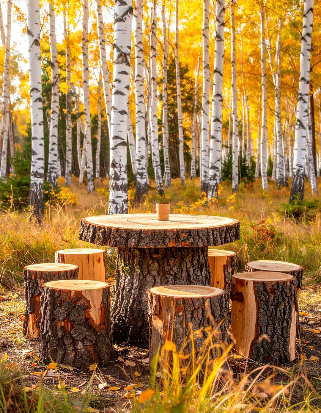 Rustic Tree Stump Bar Stools and Table - 30 rustic outdoor bar ideas