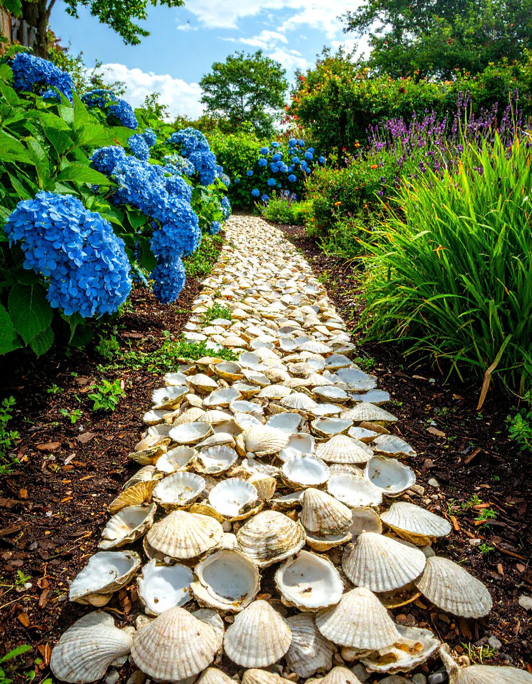 Seashell Border Garden Edging - 30 modern garden edging ideas