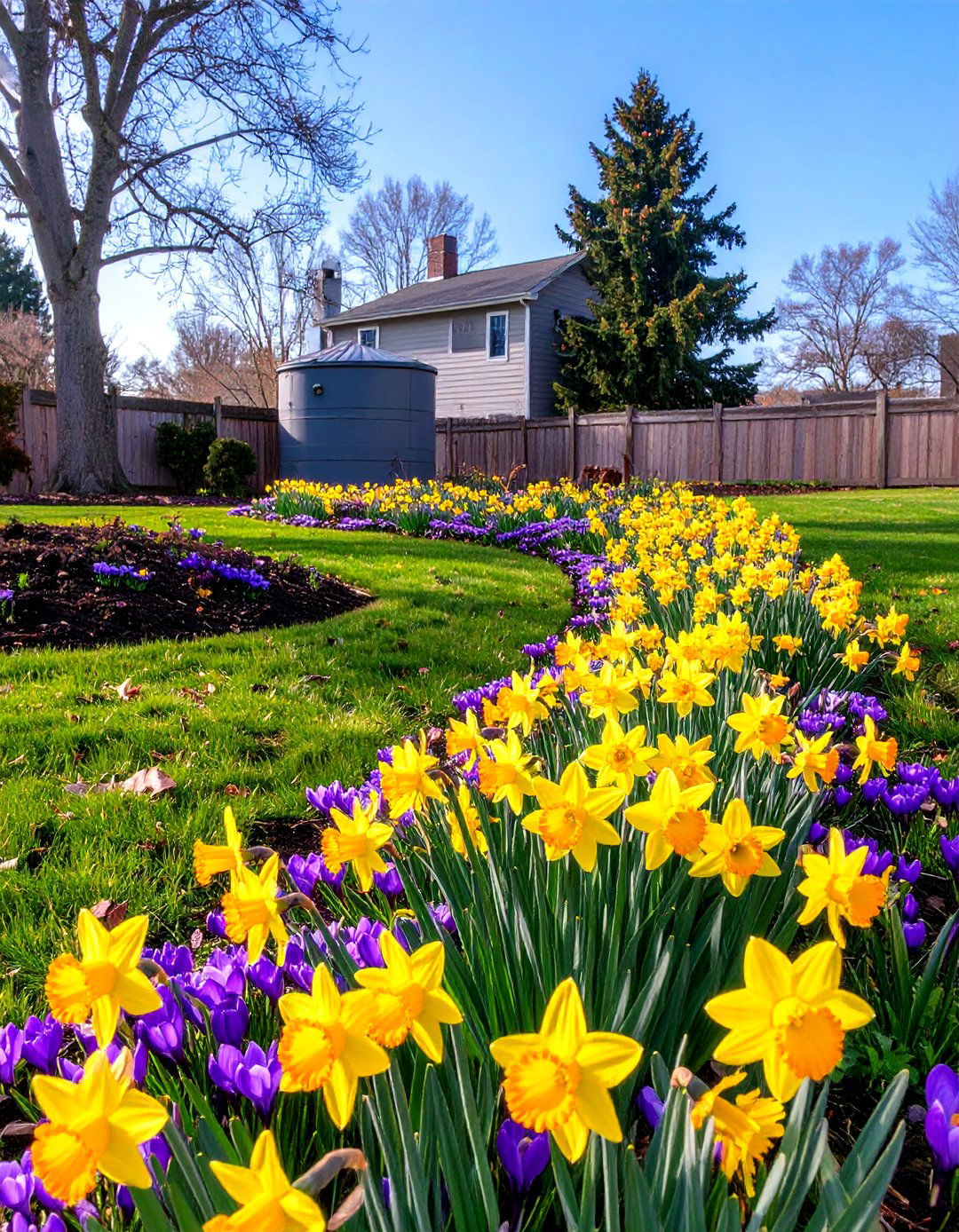 Seasonal Bulb Planting in Drifts - 30 septic tank landscaping ideas